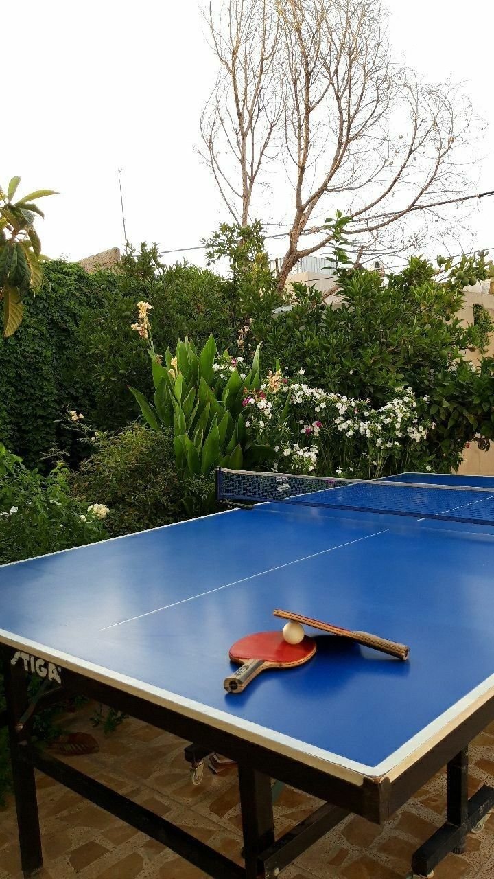 Tennis de table